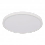 Потолочный светодиодный светильник Loft IT Extraslim 10227/40 White