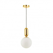 Подвесной светильник Odeon Light Pendant Okia 4669/1