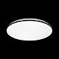 Настенно-потолочный светодиодный светильник Sonex Tan Vaka 3042/CL