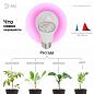Лампа светодиодная для растений ЭРА E27 10W 1310K прозрачная FITO-10W-RB-E27-K Б0039069