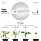 Лампа светодиодная для растений ЭРА G13 9W 1200K прозрачная Fito-9W-Ra90-Т8-G13-NL Б0042988